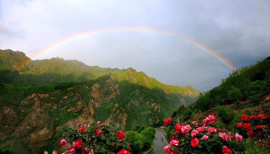 ROSE DI DAMASCO NEL QINGHAI-TIBET, Mirabile Tibet