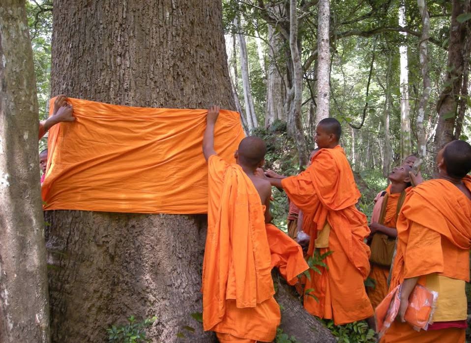 LETTERE DA LHASA: LA CIVILT&Agrave; ECOLOGICA TIBETANA, Mirabile Tibet