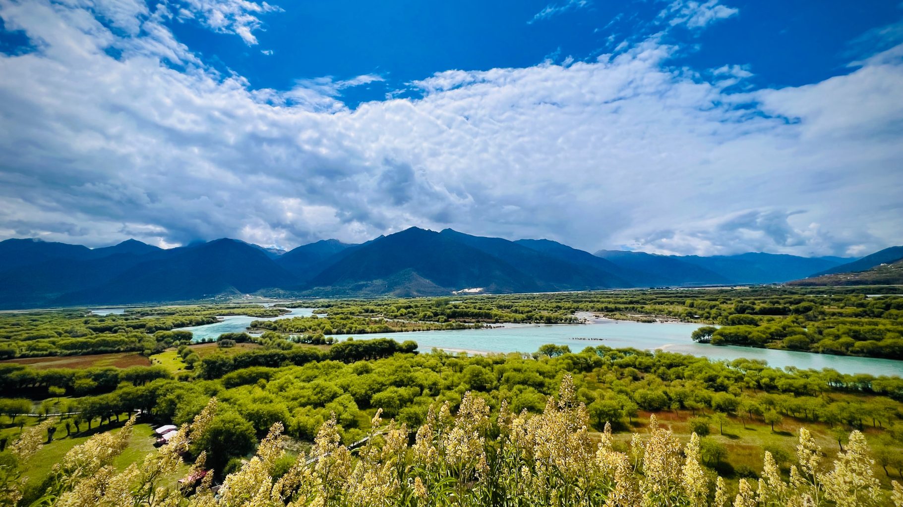 MIRABILE TIBET: DALL&rsquo;ECOLOGIA ALL&rsquo;ECONOMIA E RITORNO, Mirabile Tibet