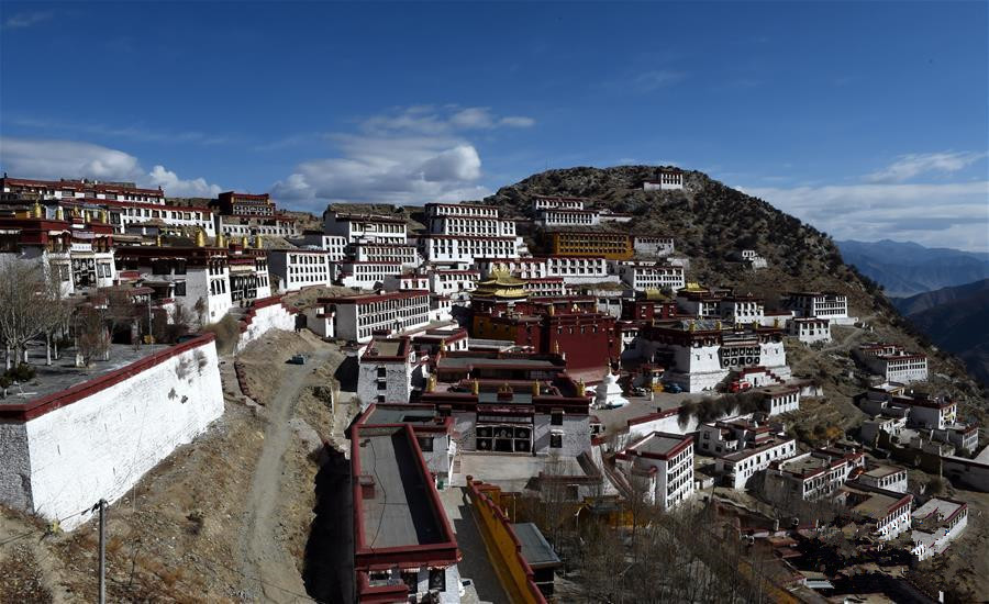 MIRABILE TIBET: L&rsquo;IA IN AIUTO DELL&rsquo;ORTICOLTURA, Mirabile Tibet
