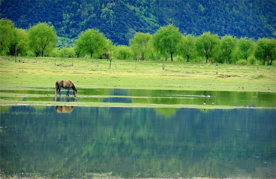 LA CIVILT&Agrave; ECOLOGICA TIBETANA: IL FIUME NYANG, Mirabile Tibet