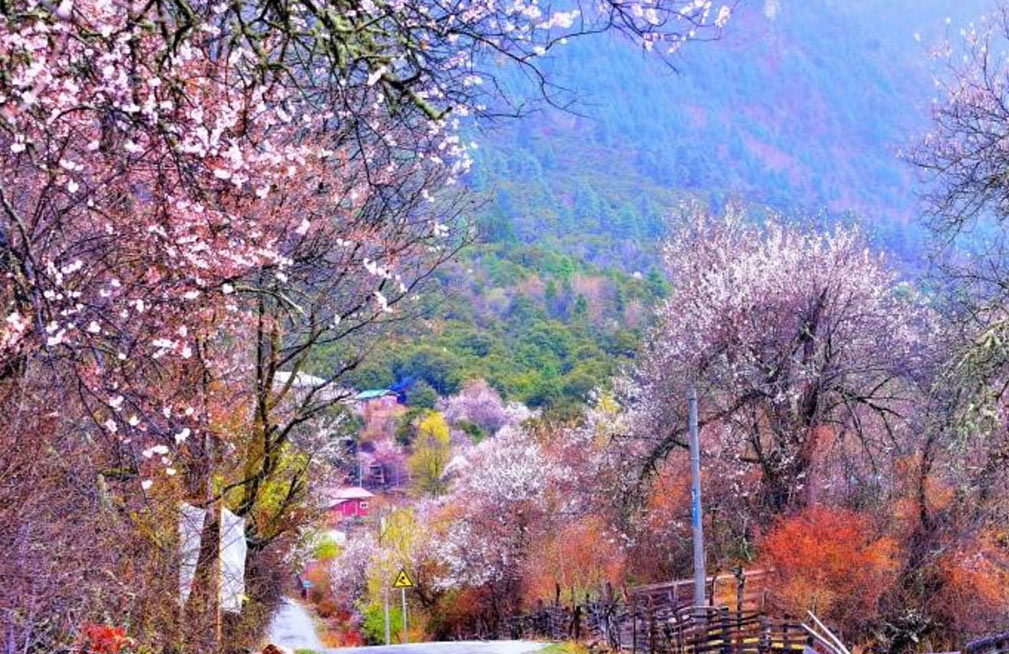VIVERE NEL TIBET, IN EQUILIBRIO CON LA NATURA, Mirabile Tibet