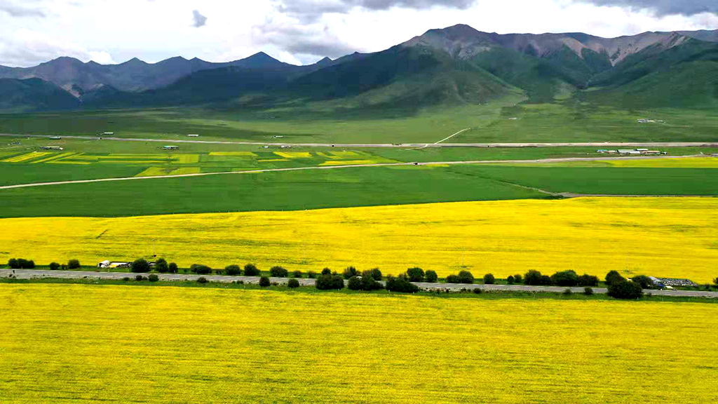 MIRABILE TIBET: DAL DESERTO ALLA FERTILITÀ, Mirabile Tibet