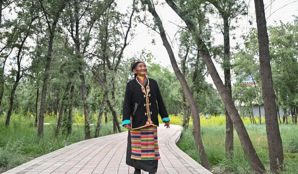 GREEN TIBET: l&rsquo;OLIVELLO SPINOSO, Mirabile Tibet