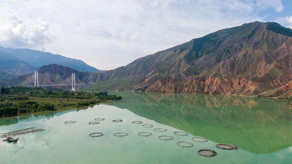 LA TROTA SALMONATA DEL QINGHAI-TIBET, Mirabile Tibet